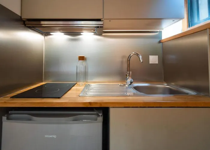 Sapi Cocon 4pax Centre Jardin Remontees Tv Wifi * שאמוני