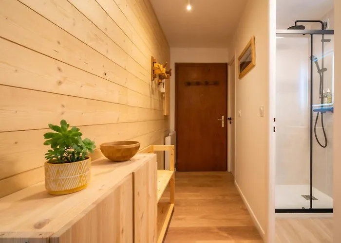 Sapi Cocon 4pax Centre Jardin Remontees Tv Wifi *