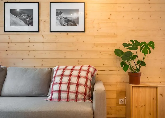 Sapi Cocon 4pax Centre Jardin Remontees Tv Wifi شقة شامونكس