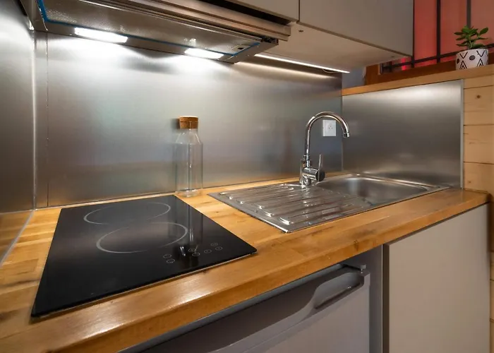 شقة Sapi Cocon 4pax Centre Jardin Remontees Tv Wifi شامونكس