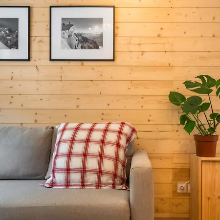 Sapi Cocon 4pax Centre Jardin Remontees Tv Wifi Appartement Chamonix